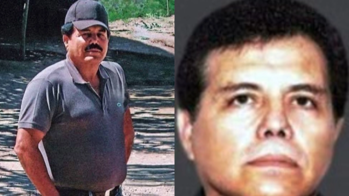 Mortal of Mexico’s Sinaloa Drug Cartel Arrested in TEXAS